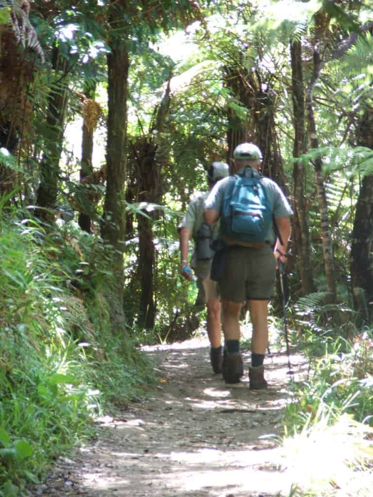 Tramping - Whanganui National Park